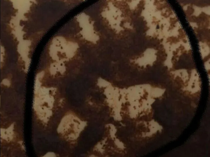 Запись на прием к гадалке во Владимире